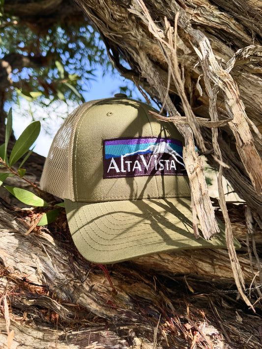Green cap with AltaVista logo on a tree branch