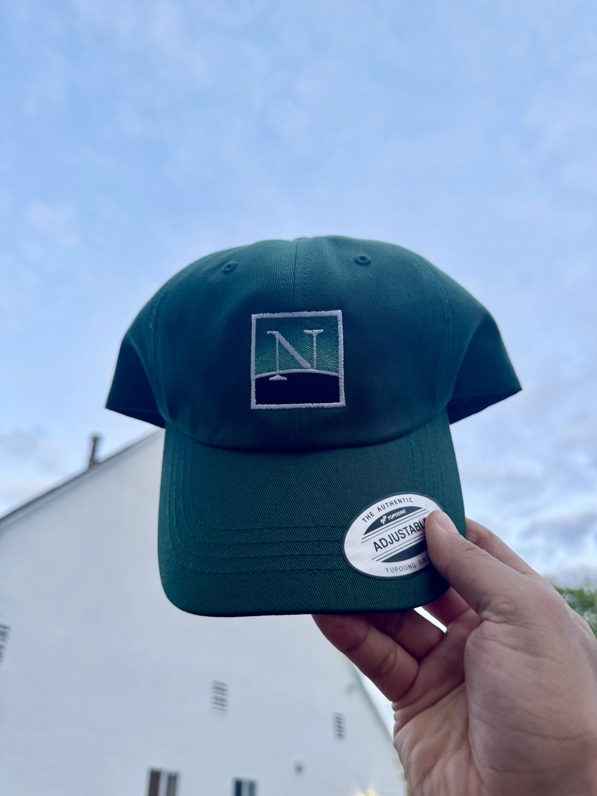 Green Dad Hat with Netscape Logo in the front behind sky