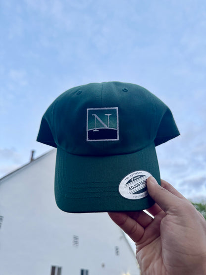 Green Dad Hat with Netscape Logo in the front behind sky